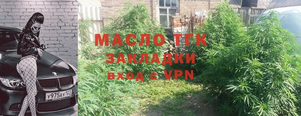 прущие грибы Абдулино