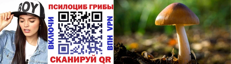 Псилоцибиновые грибы мицелий  Шали 